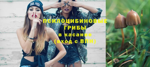 прущая мука Остров